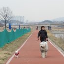 순아 이미지