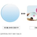 비전하이 이미지