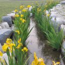 고령예마을 이미지