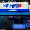 노원중계동맛집추천 : 바다생협 종합어시장 노원방어맛집 중계동횟집 저렴한 횟집 🍣🐟