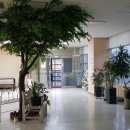 오산현대정형외과의원 이미지