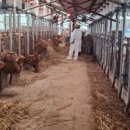 학산축산 이미지