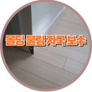씨유청주강서서현점 | 의왕 내손 이편한세상 강아지 이갈이로 손상된 몰딩 파손 복구