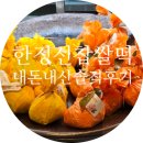 골든피스 무역센터점 | 한정선 찹쌀떡 두바이 무화과 내돈내산 현대백화점 무역센터점 방문후기