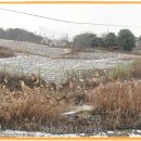 천왕농장 이미지