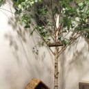 프로카 월드 이미지