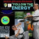 진영쌍검류의 통합철학의 정의 In English, Spanish, Korean 이미지