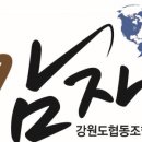 강원도협동조합감자여행 이미지
