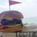 양양썬셋 이미지
