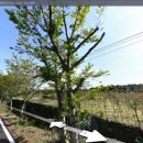 정의골 교차로 4 이미지