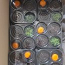 표선초등학교 병설유치원 이미지