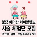 헤어알렌느 이미지