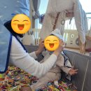 퍼니 어린이 창의미술 | 퍼니써니 vs 히히호호 수업 비교 후기 | 가격·장단점·8개월부터 직접 해본 리얼리뷰