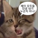 케이음식점 이미지