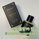 질문으로 톡톡, 글이 팡팡 | [디디블랑카 향수] 남자향수추천 | 상쾌함이 팡팡 터지는 시트러스 오드퍼퓸 솔직 후기 🌿