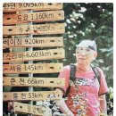 들국화악단 네이버블로그