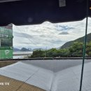 백운포로 | 백운포 진주물회 방문후기