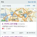 우다닥 고양이 호텔 이미지