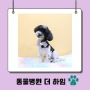 비바동물병원 이미지