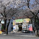 살아생전꼭먹어봐야하는은성식당 이미지