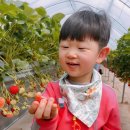 승훈농장 이미지