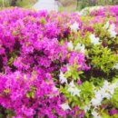 재준민박 이미지