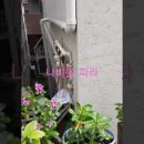 에이치트레블 이미지