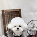 댕그랑댕 이미지