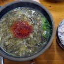 제주 달리 이미지