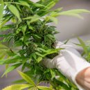 에스바이오메드 이미지