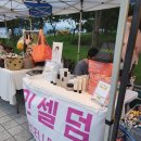 스마일인셀덤 네이버블로그