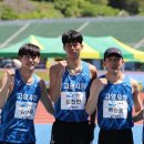 고양시청 이미지