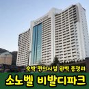 C월드PC방 | 홍천 소노벨 비발디파크 B동 숙박 후기 애견동반 객실 정리 지하 부대시설 오션월드 완벽 활용법