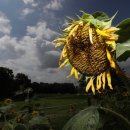 정오농장 이미지