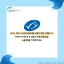 MSC앞 이미지