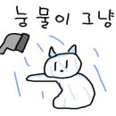 오 별난 멸치국수 장전점 이미지