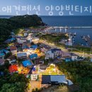 속초애견펜션양양빈티지하우스 이미지