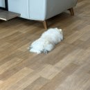 서탄반점 이미지