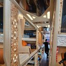 G8 | 사파에서 하노이 공항 슬리핑버스 G8 후기