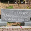 창녕 영산 만년교 이미지