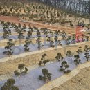 청솔2차A 이미지