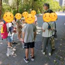 책의숲 | 책 읽는 부엉이의 숲 초대장 : 여름 프로그램 후기