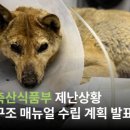 서울시 야생동물 구조관리센터 이미지