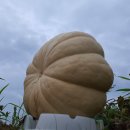 화영농장 이미지