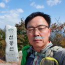 장선농장 | 천등지맥 제2구간 강승갱이재에서 장선고개까지 산행후기
