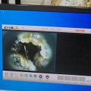 정순한김밥 이미지