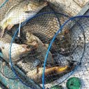 신월낚시터 이미지