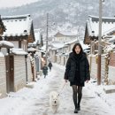 시골풍경 이미지