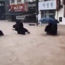 동광주 헤럴드경제