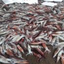 갈매보건진료소 이미지